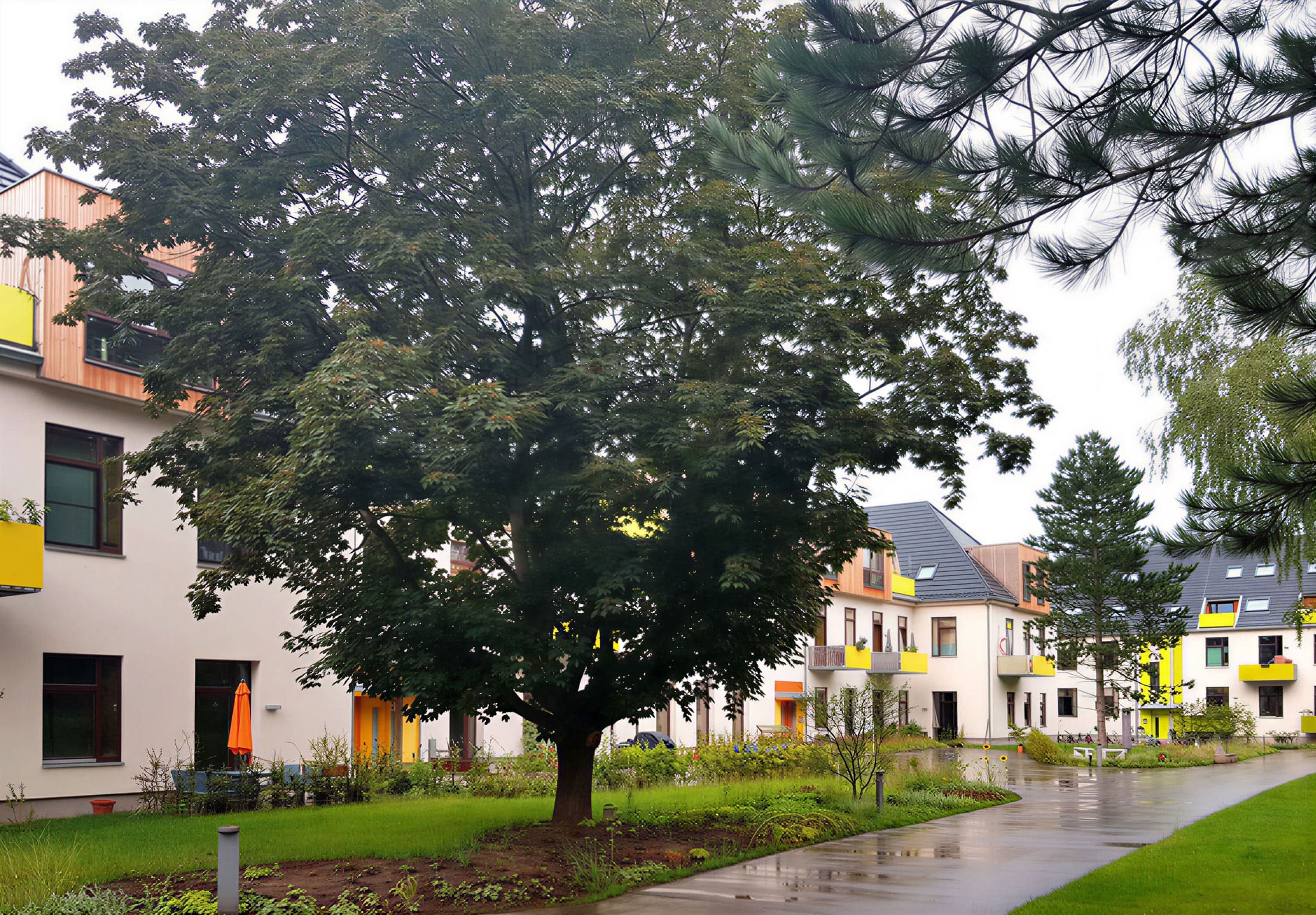 Innenhof einer Wohnanlage mit großem Baum und Rasen